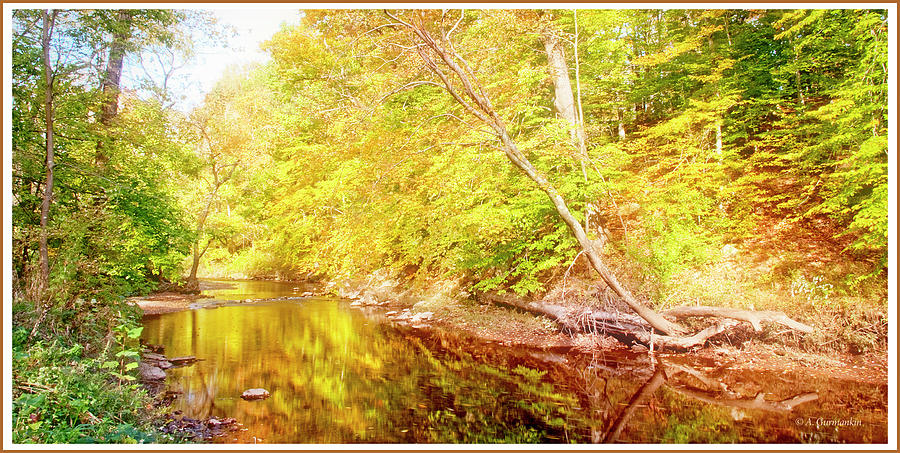 Woodland Stram, Early Autumn, Montgomery County, Pennsylvania Photograph by A Macarthur Gurmankin