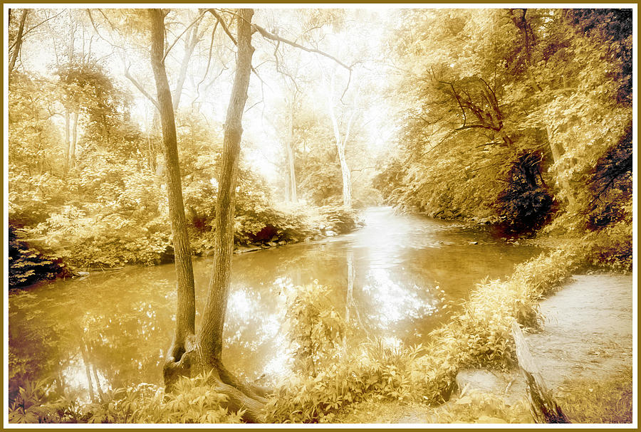 Woodland Stream Fantasy Photograph by A Macarthur Gurmankin