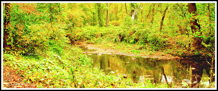 Woodland Stream in Autumn, Montgomery County, Pennsylvania Photograph by A Macarthur Gurmankin