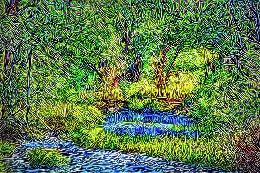 Woodland Streaming Waters Digital Art by Joel Bruce Wallach