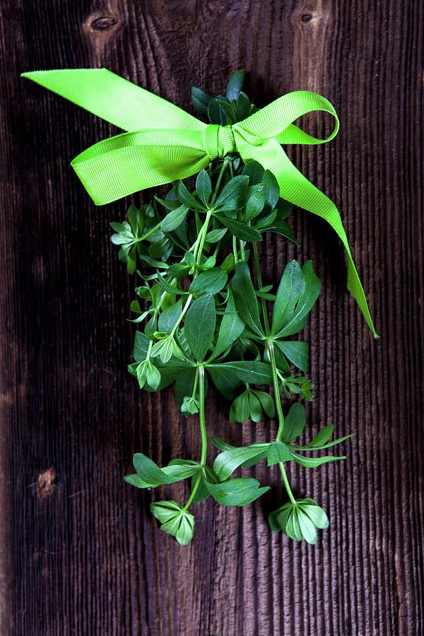 Woodruff Tied With A Bow On A Wooden Surface Photograph by Elisabeth Von Plnitz-eisfeld