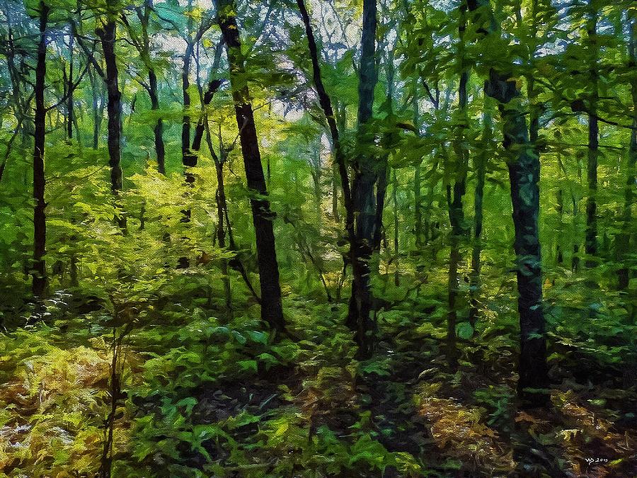 woods at Pigeon Swamp, CT Digital Art by Wolfgang Schweizer