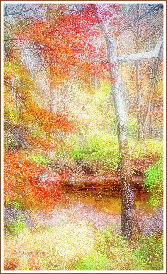  Woods in Autumn, Montgomery Cty., Pennsylvania Digital Art by A Macarthur Gurmankin