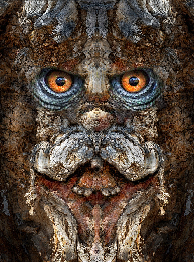Fantasy Digital Art - Woody 247 by Rick Mosher