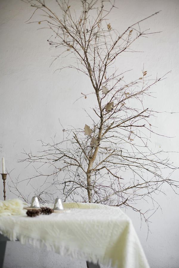 Woollen Blankets And Wintry Accessories On Table In Front Of Small Leafless Tree Photograph by Alicja Koll
