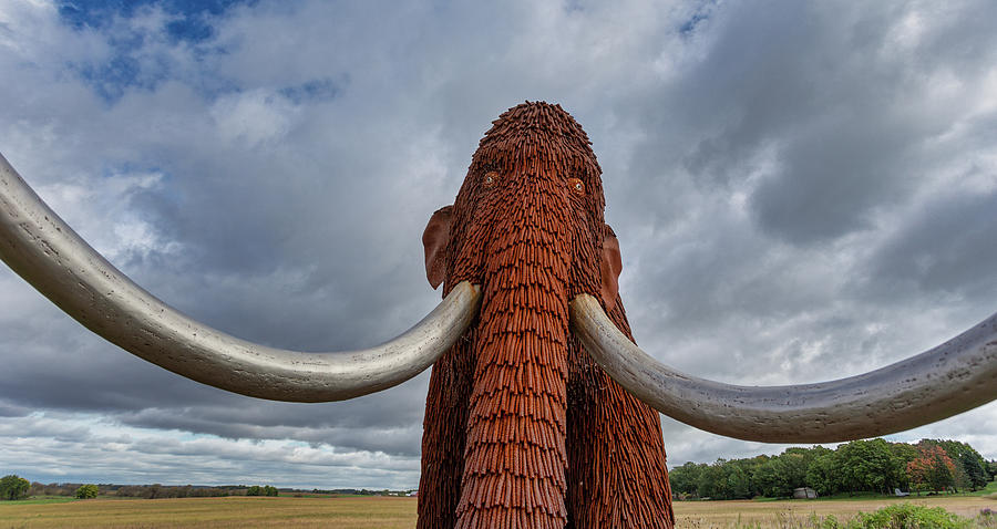 Wooly Mammoth by Lauri Novak Wooly Mammoth by Lauri Novak