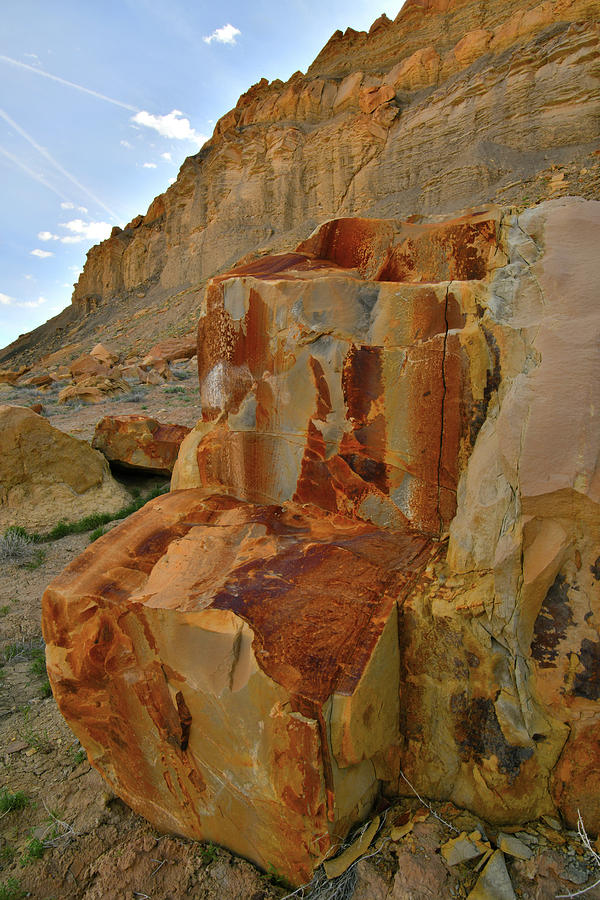 Utah Photograph - Work of Art in Utahs Caineville Wash by Ray Mathis