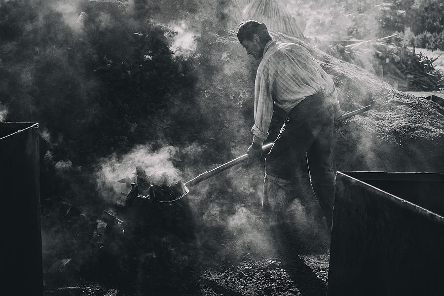 Work Of Charcoal Burners Photograph by Zoran Toldi