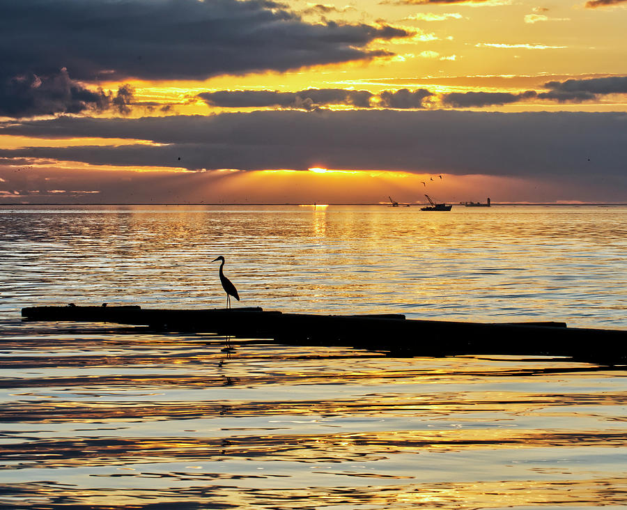 Workboats and Shorebirds Photograph by Ty Husak
