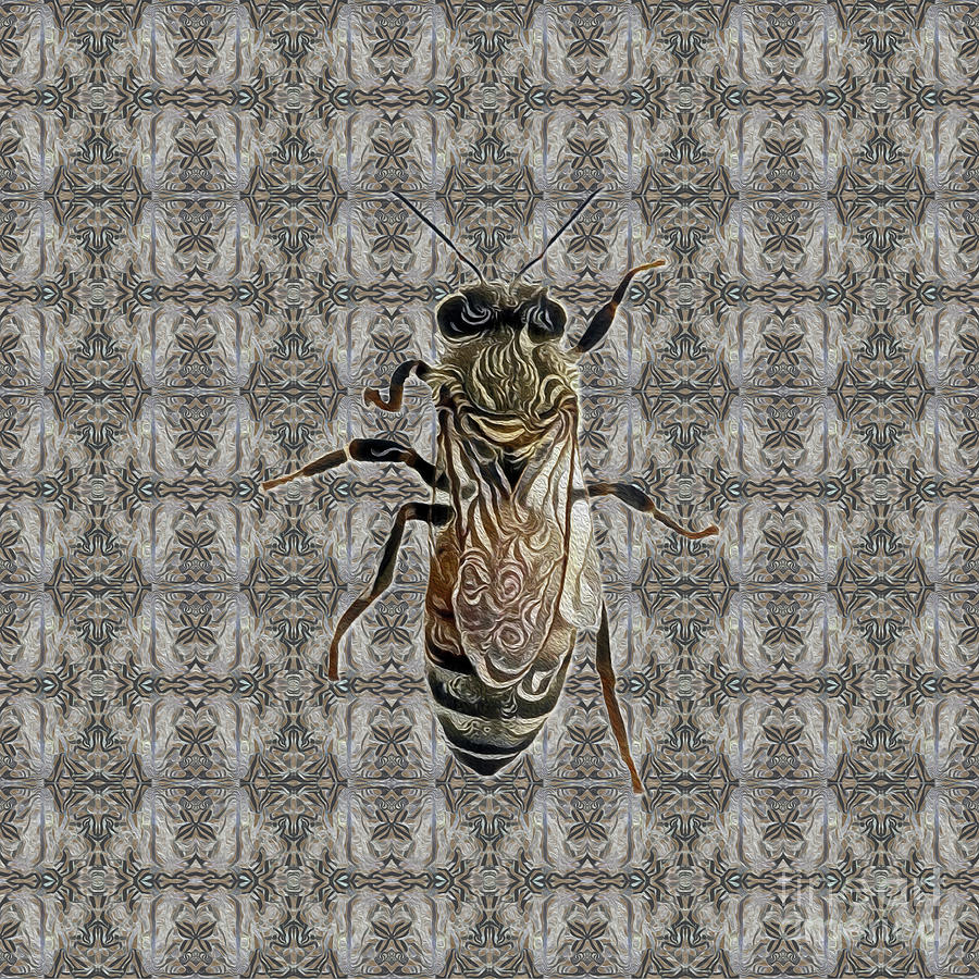Worker Honey Bee 07 Digital Art by Diego Taborda