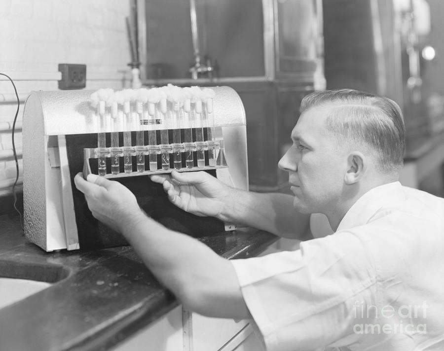Worker Testing Penicillin Cultures Photograph by Bettmann
