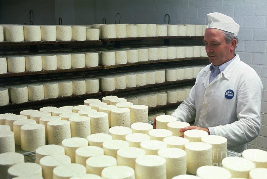 Worker Turning Maturing Photograph by Science Photo Library Worker Turning Maturing Photograph by Science Photo Library