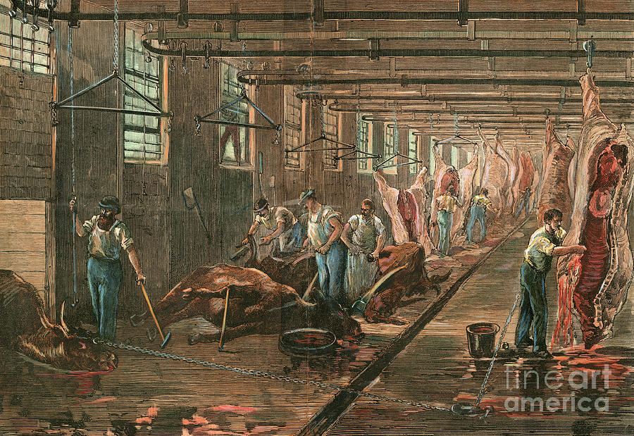 Workers In Meat Packing House Photograph by Bettmann