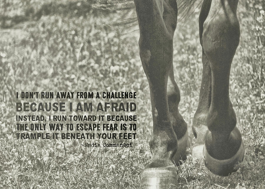 WORKING TROT quote Photograph by JAMART Photography