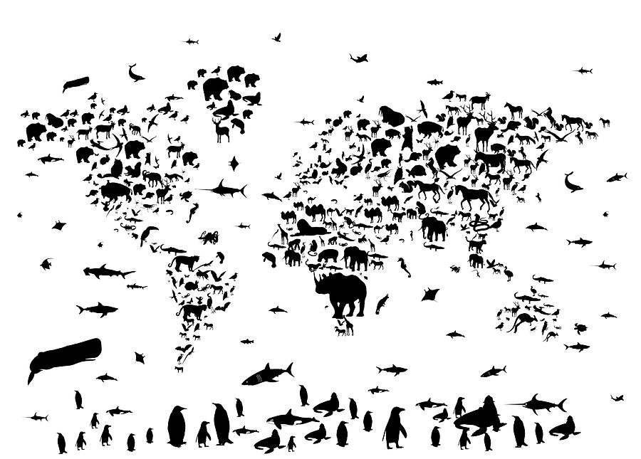 World Map Animals Bw Digital Art By Bekim M