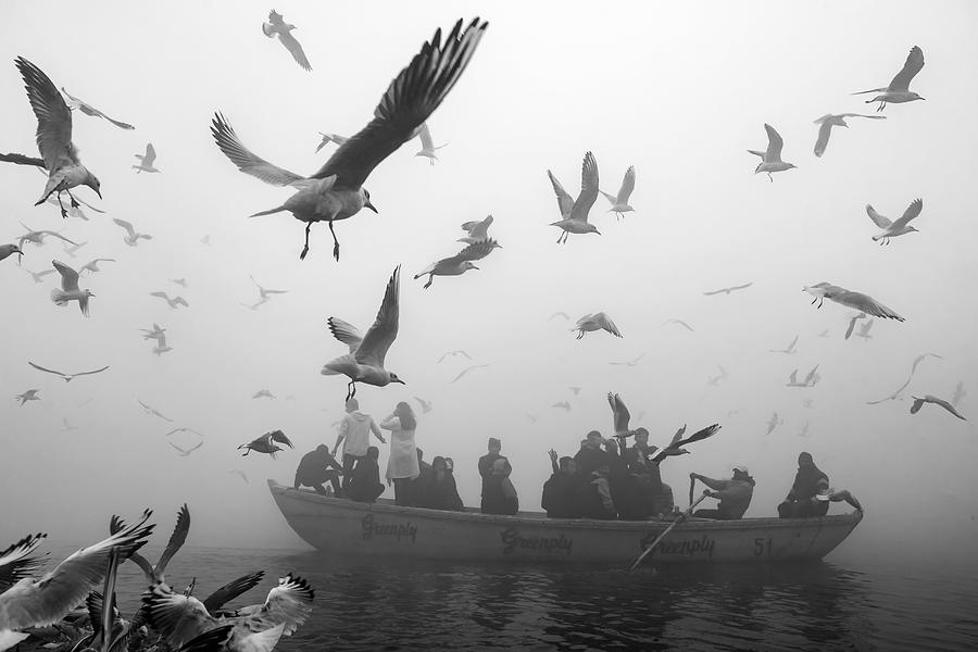 Boat Photograph - World Of Birds by Partha Sarathi Dalal