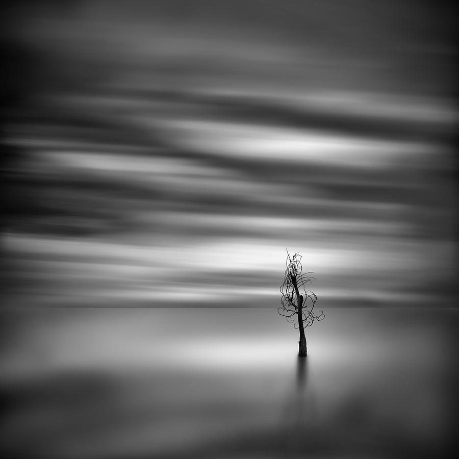 World Of Perpetual Solitude Photograph by George Digalakis - Fine Art ...