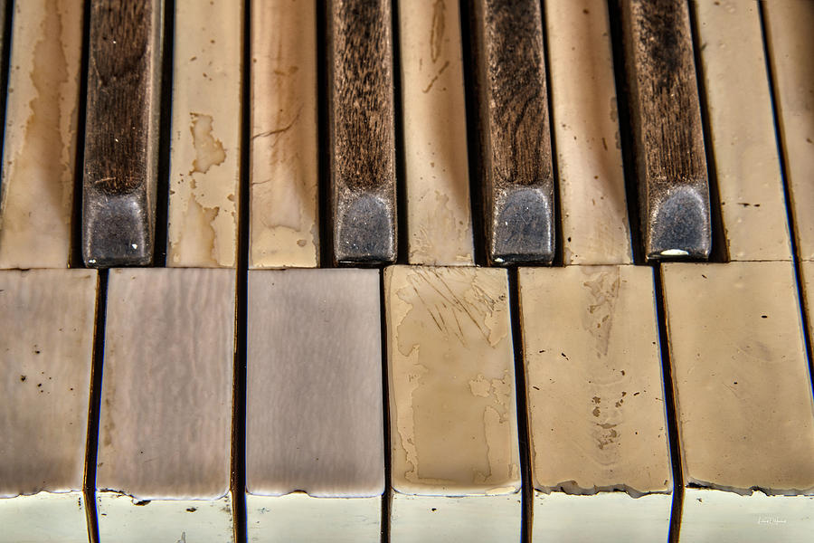 Worn Piano Keys Photograph by Leland D Howard