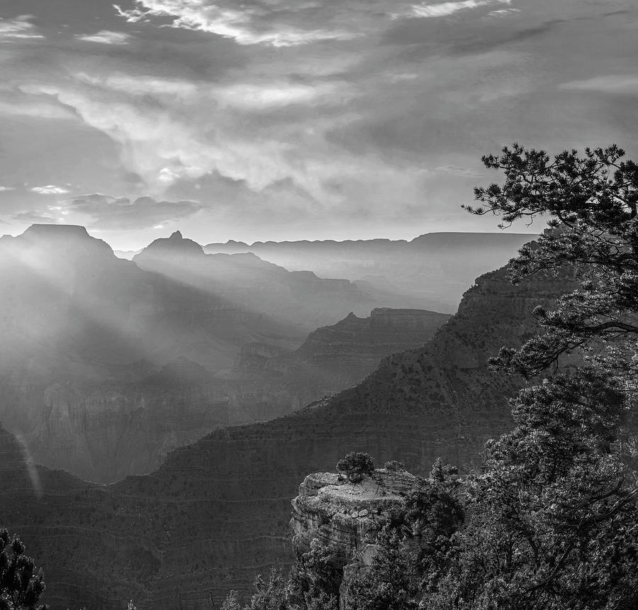 Wotans Throne, Grand Canyon Photograph by Tim Fitzharris