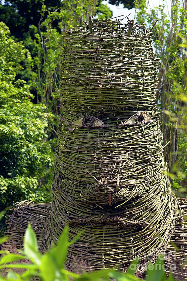 Nature Photograph - Woven Figurative Sculpture by Dr Keith Wheeler/science Photo Library