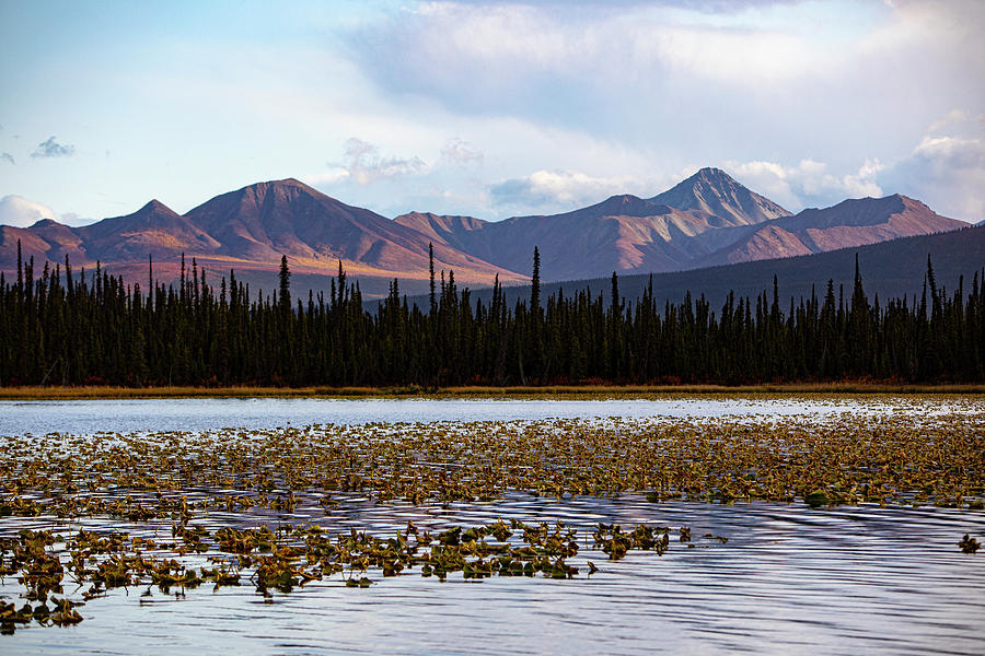 Alaska Photograph - Wrangell Mountains, Alaska, USA by Jolly Sienda Alaska Photograph - Wrangell Mountains, Alaska, USA by Jolly Sienda