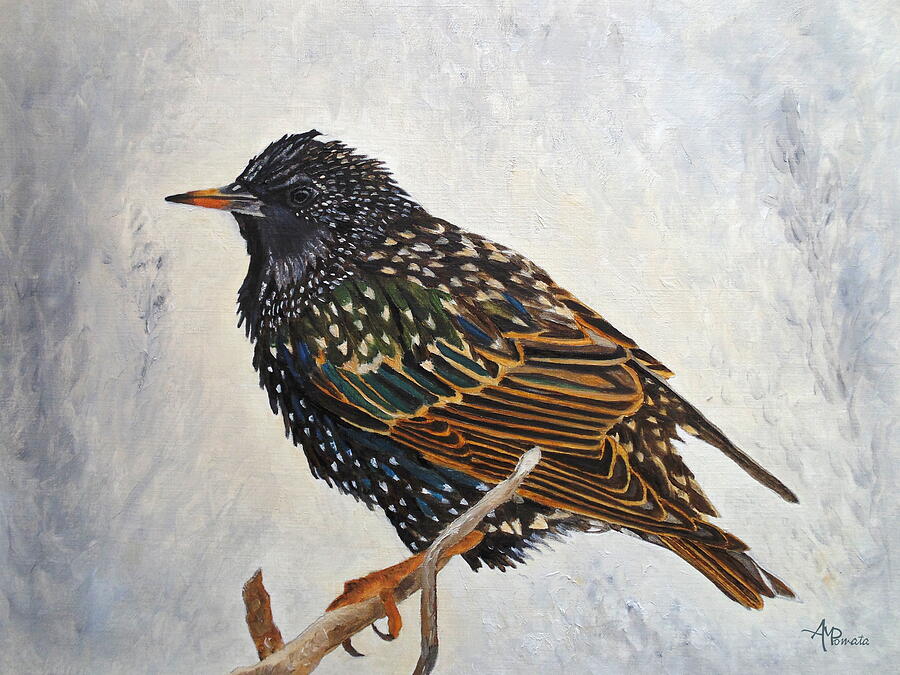 Bird Painting - Wrapped Up - European Starling by Angeles M Pomata