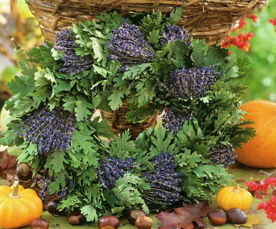 Wreath Made From Bunches Of Lavender And Oak Leaves Photograph by Friedrich Strauss
