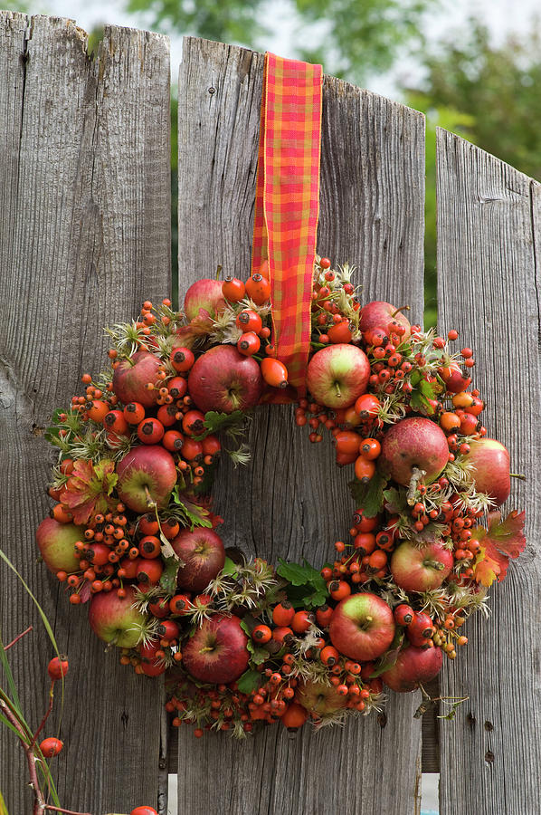 Wreath Made Of Apples, Rose Hips And Clematis Stuck Photograph by Friedrich Strauss