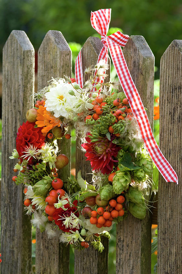 Wreath Made Of Dahlia, Humulus hops, Roses rosehip Photograph by Friedrich Strauss