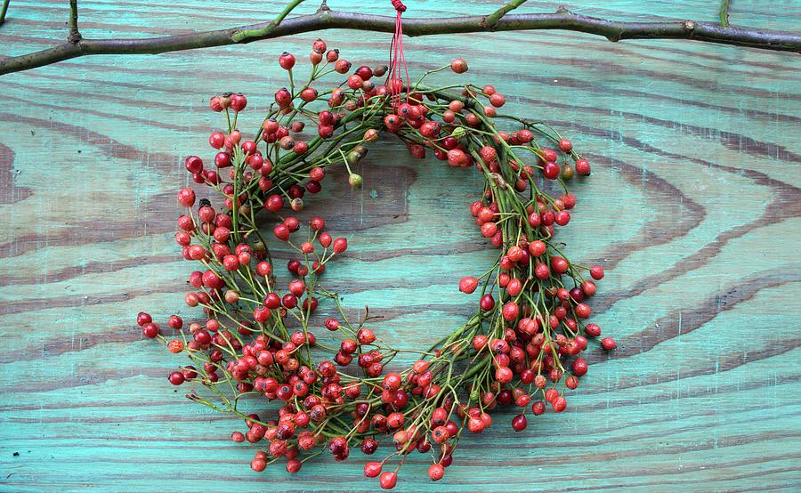 Wreath Made Of Small Rose Hips Photograph by Martina Schindler