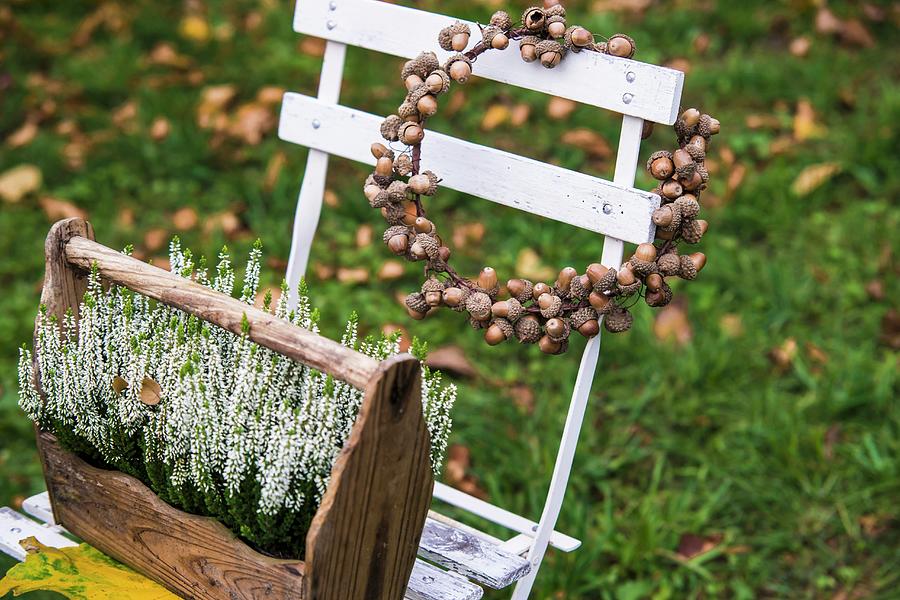 Wreath Of Acorns And Wooden Crate Of Heather On Garden Chair Photograph by Bildhbsch