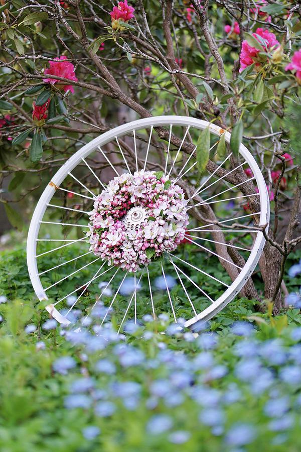 Wreath Of Apple Blossom Branches On An Old Bicycle Rim Photograph by Angelica Linnhoff