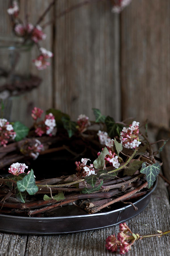 Wreath Of Bodnant Viburnum Twigs And Ivy Tendrils On Tray Photograph by Elisabeth Berkau
