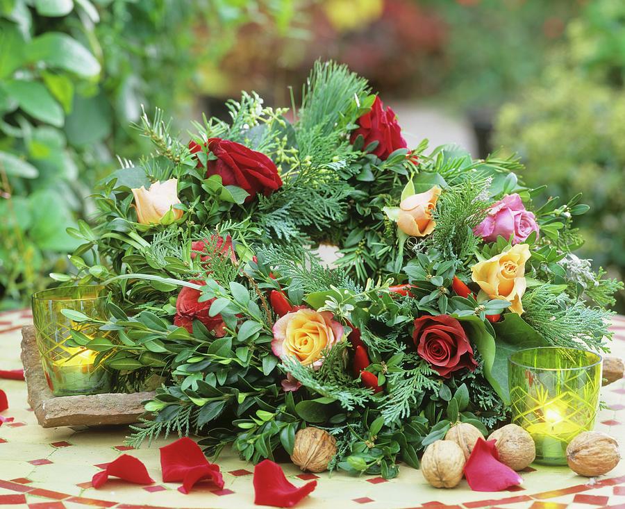 Wreath Of Box, Thuja And Pine With Roses Photograph by Friedrich Strauss