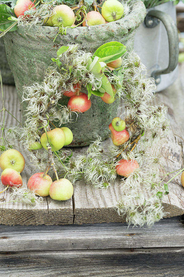 Wreath Of Crab Apples And Clematis Seed Heads Photograph by Martina Schindler