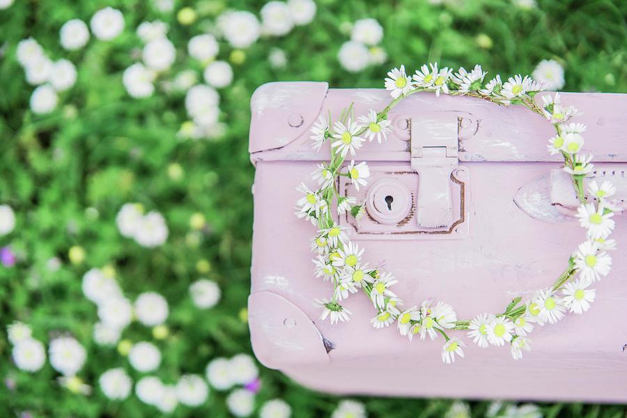 Wreath Of Daisies On Pink Suitcase On Lawn Photograph by Bildhbsch