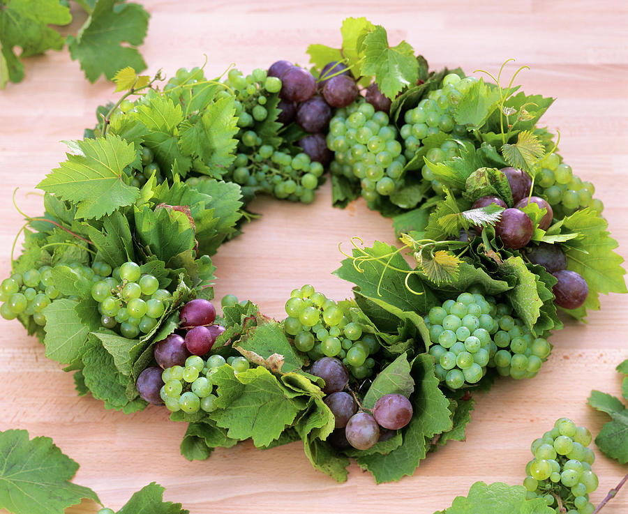 Wreath Of Grapes And Leaves Photograph by Friedrich Strauss