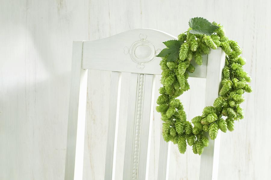 Wreath Of Hops Hanging On Chair Backrest Photograph by Achim Sass