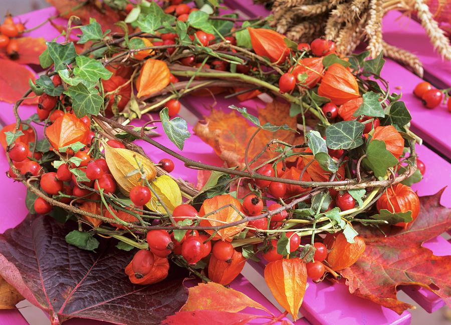Wreath Of Ivy, Rose Hips And Chinese Lanterns Photograph by Friedrich Strauss