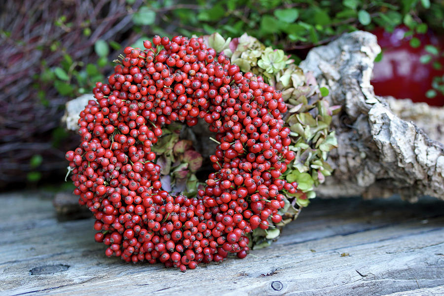 Wreath Of Mini Rose Hips Photograph by Angelica Linnhoff