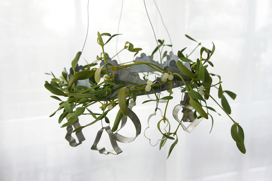 Wreath Of Mistletoe Decorated With Pastry Cutters Photograph by Martina Schindler