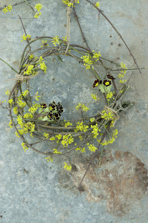 Wreath Of Primula victoriana Gold Lace And Cornelian Cherry Blossom Photograph by Martina Schindler