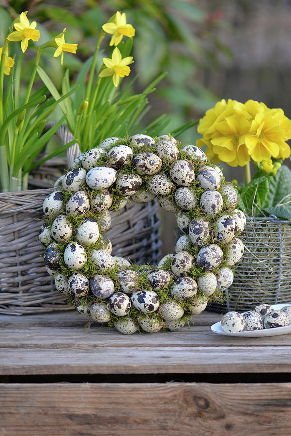 Wreath Of Quail Eggs Together With Daffidils On A Plant Box Photograph by Daniela Behr