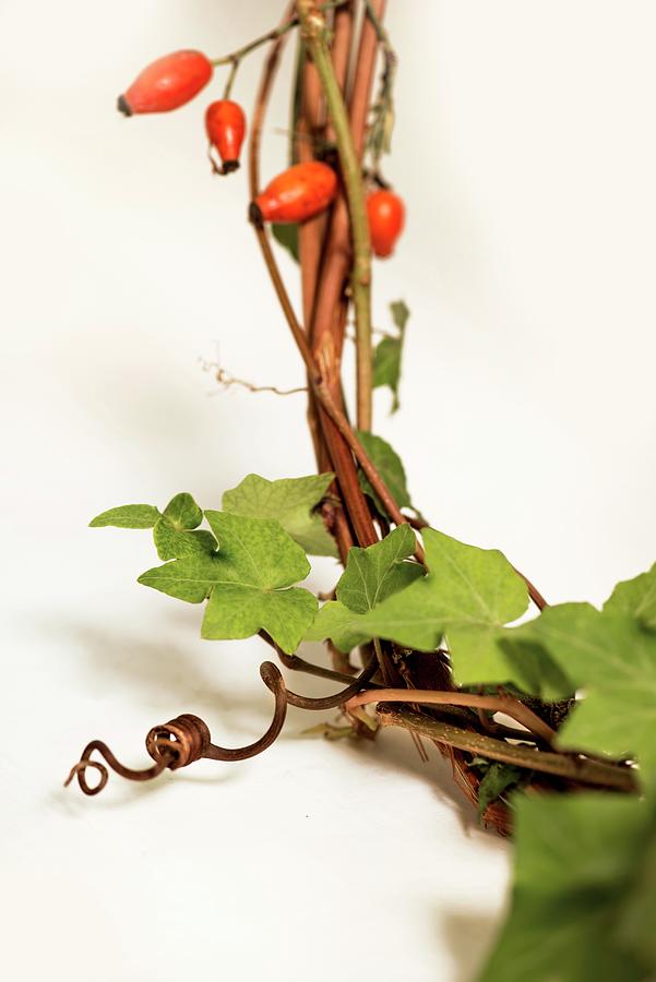 Wreath Of Rose Hips And Ivy Tendrils detail Photograph by Vierucci/eustachi