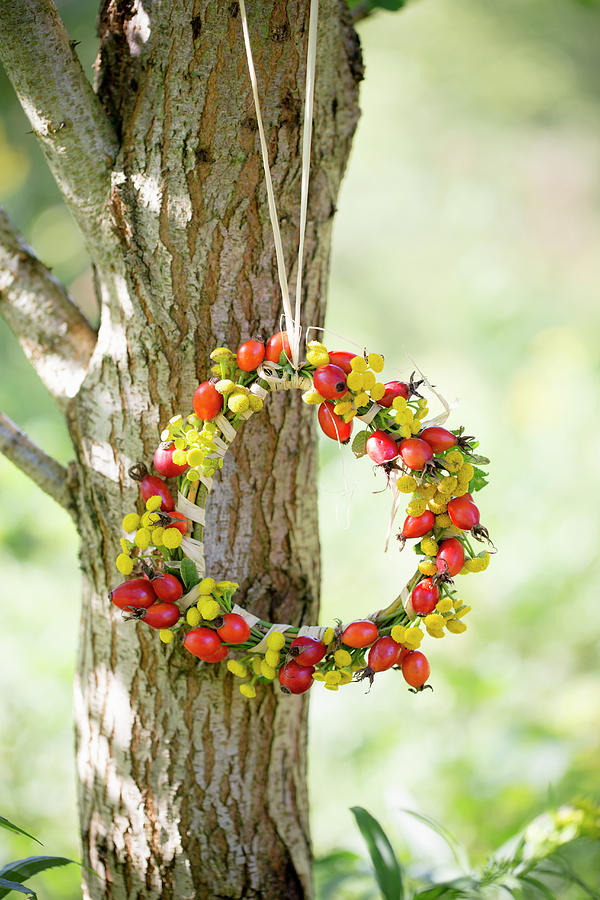 Wreath Of Rose Hips And Yellow Flowers Hung On Tree Photograph by Iris Wolf