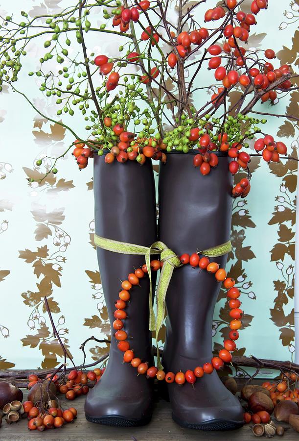 Wreath Of Rose Hips Tied To Wellington Boots Filled With Branches Of Rose Hips Photograph by Martina Schindler
