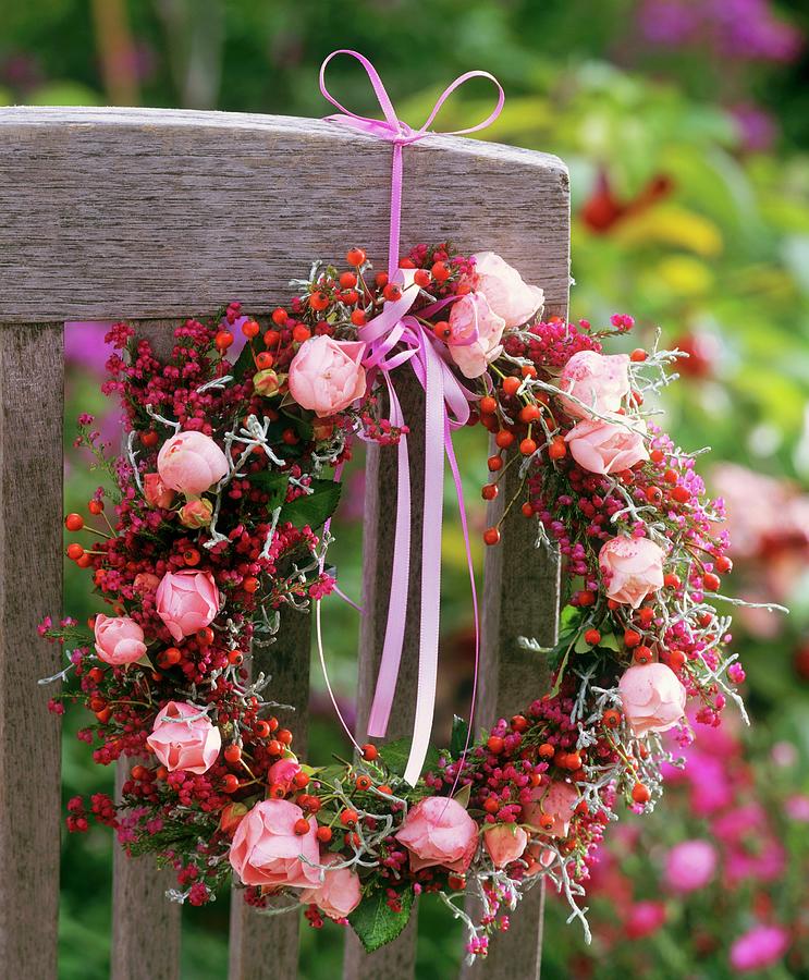 Wreath Of Roses And Rose Hips Tied To A Chair Back Photograph by Friedrich Strauss
