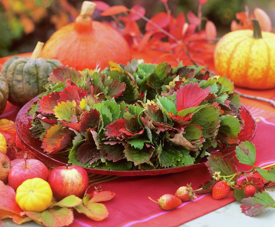 Wreath Of Strawberries Leaves, Apples And Pumpkins Photograph by Friedrich Strauss