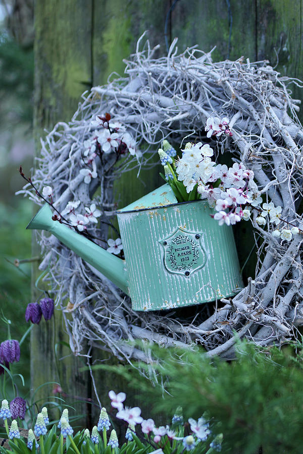 Wreath Of White-colored Branches, Grape Hyacinth, And Branch Of Cherry Plum Blossoms In A Watering Can Photograph by Angelica Linnhoff