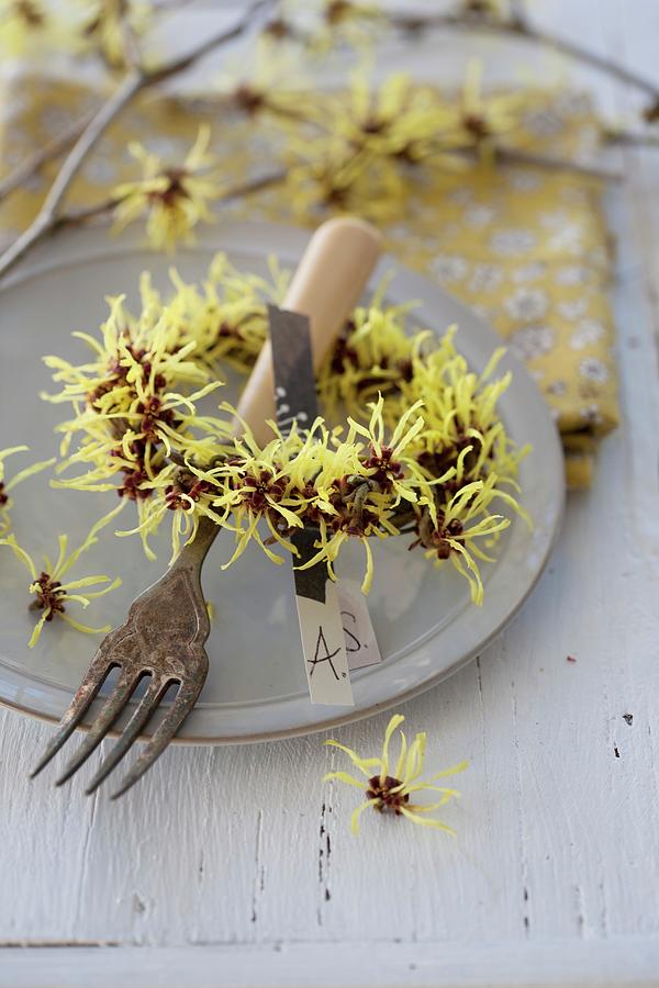 Wreath Of Witch Hazel Flowers hamamelis Decorating Set Table Photograph by Martina Schindler